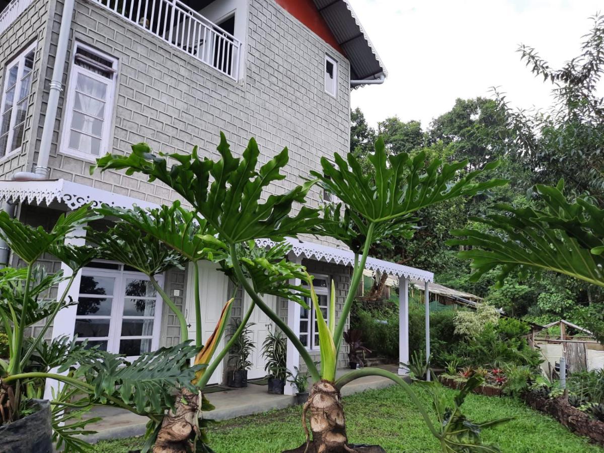 Aaravi Garden Homestay Kalimpong Ngoại thất bức ảnh