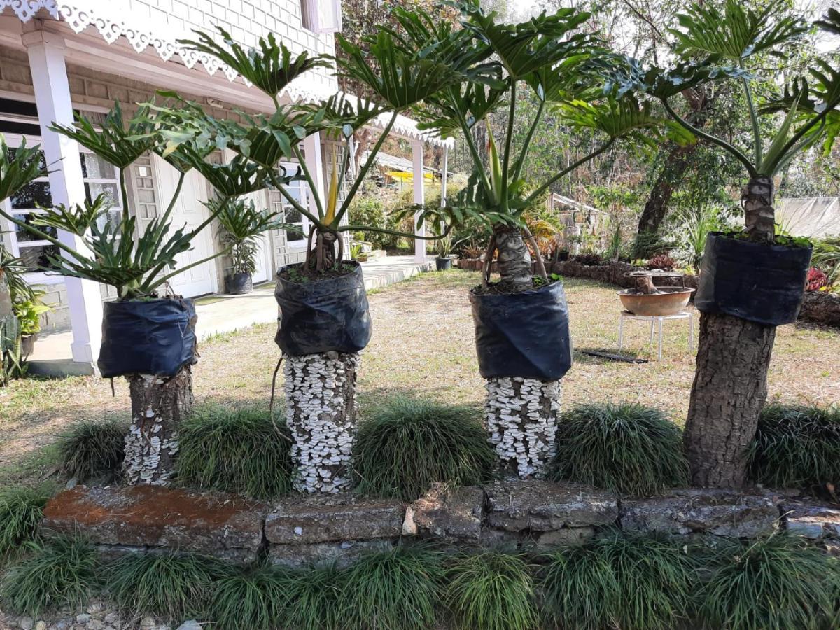 Aaravi Garden Homestay Kalimpong Ngoại thất bức ảnh