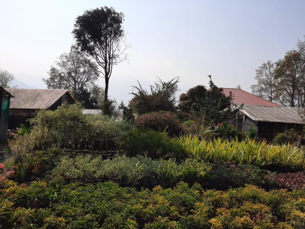 Aaravi Garden Homestay Kalimpong Ngoại thất bức ảnh